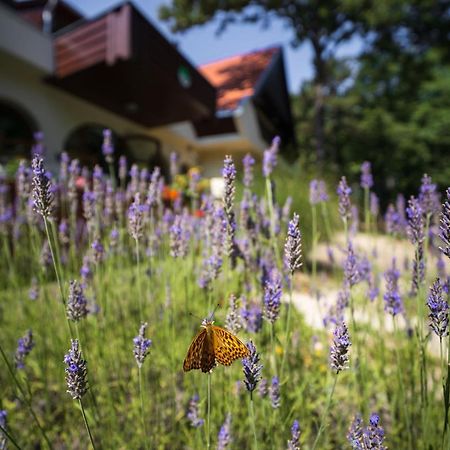 Zseri Vadaszhaz Fehérvárcsurgó Bagian luar foto