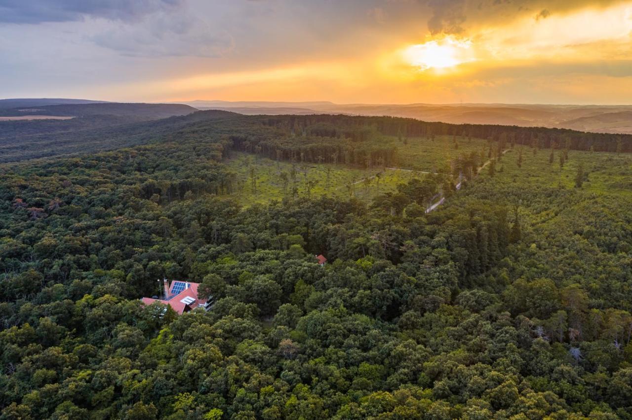 Zseri Vadaszhaz Fehérvárcsurgó Bagian luar foto