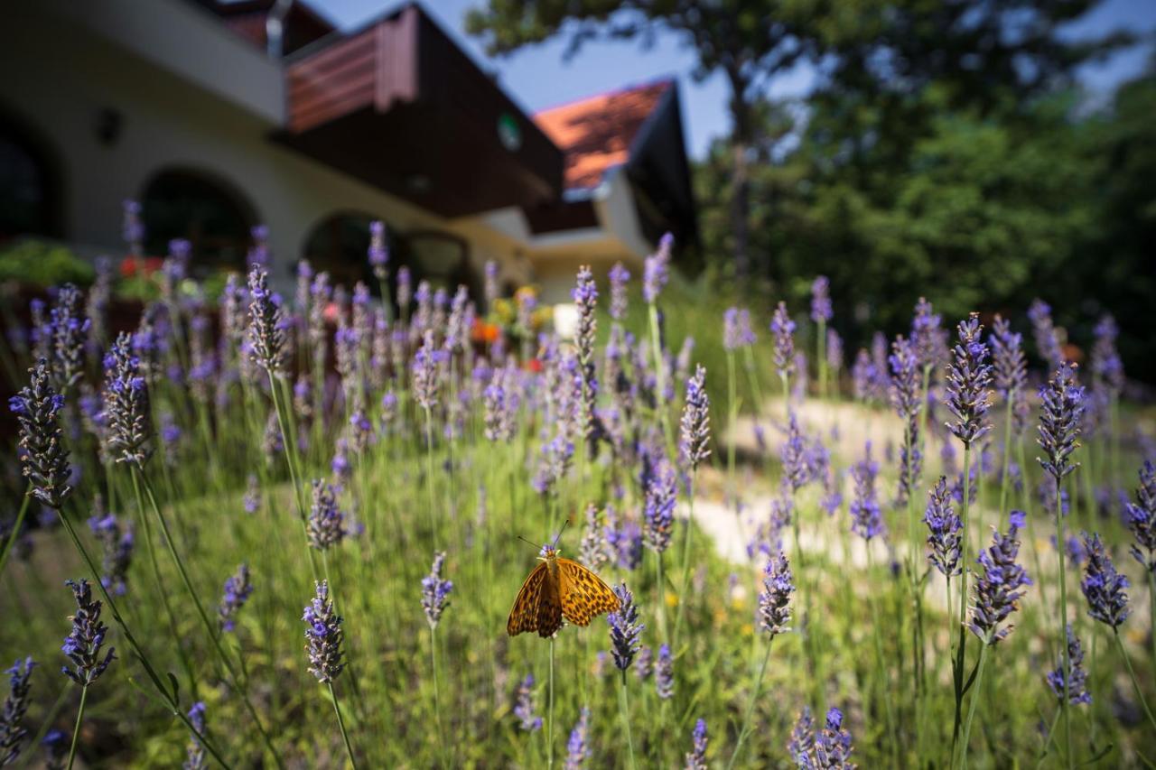 Zseri Vadaszhaz Fehérvárcsurgó Bagian luar foto