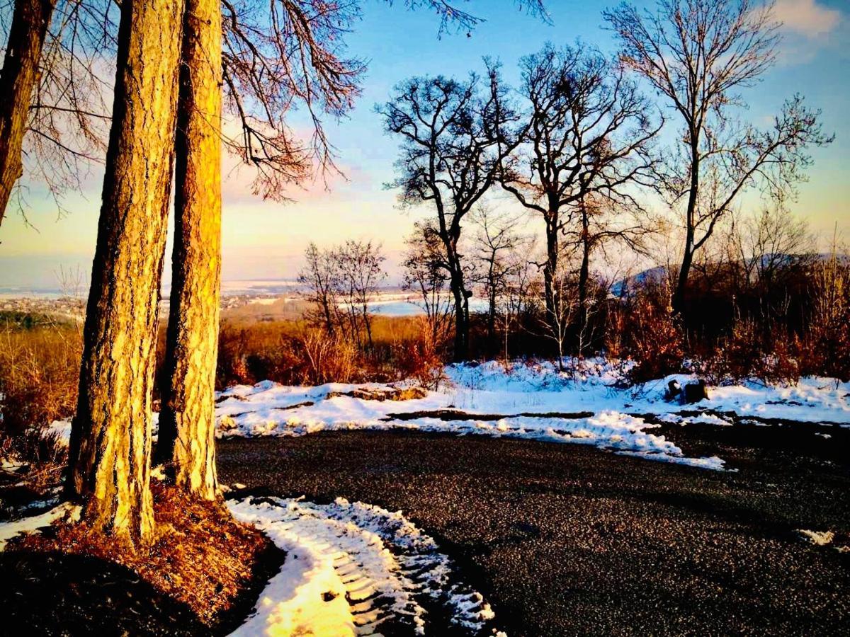 Zseri Vadaszhaz Fehérvárcsurgó Bagian luar foto